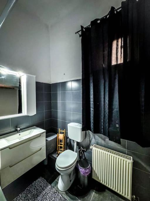 Апартаменти Cozy & Charming Apt. Downtown Тімішоара Екстер'єр фото